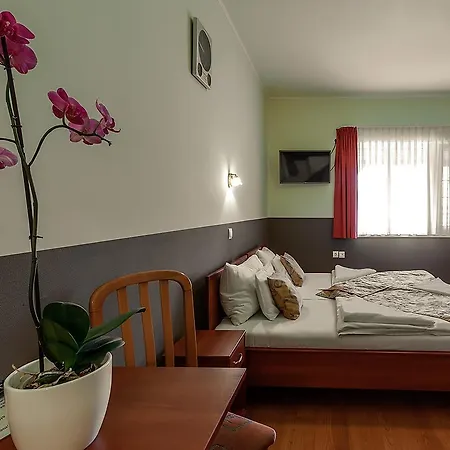 Aranypatko Panzio Penzion Győrújbarát