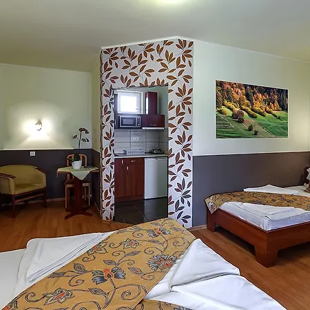 Penzion Aranypatko Panzio 3*